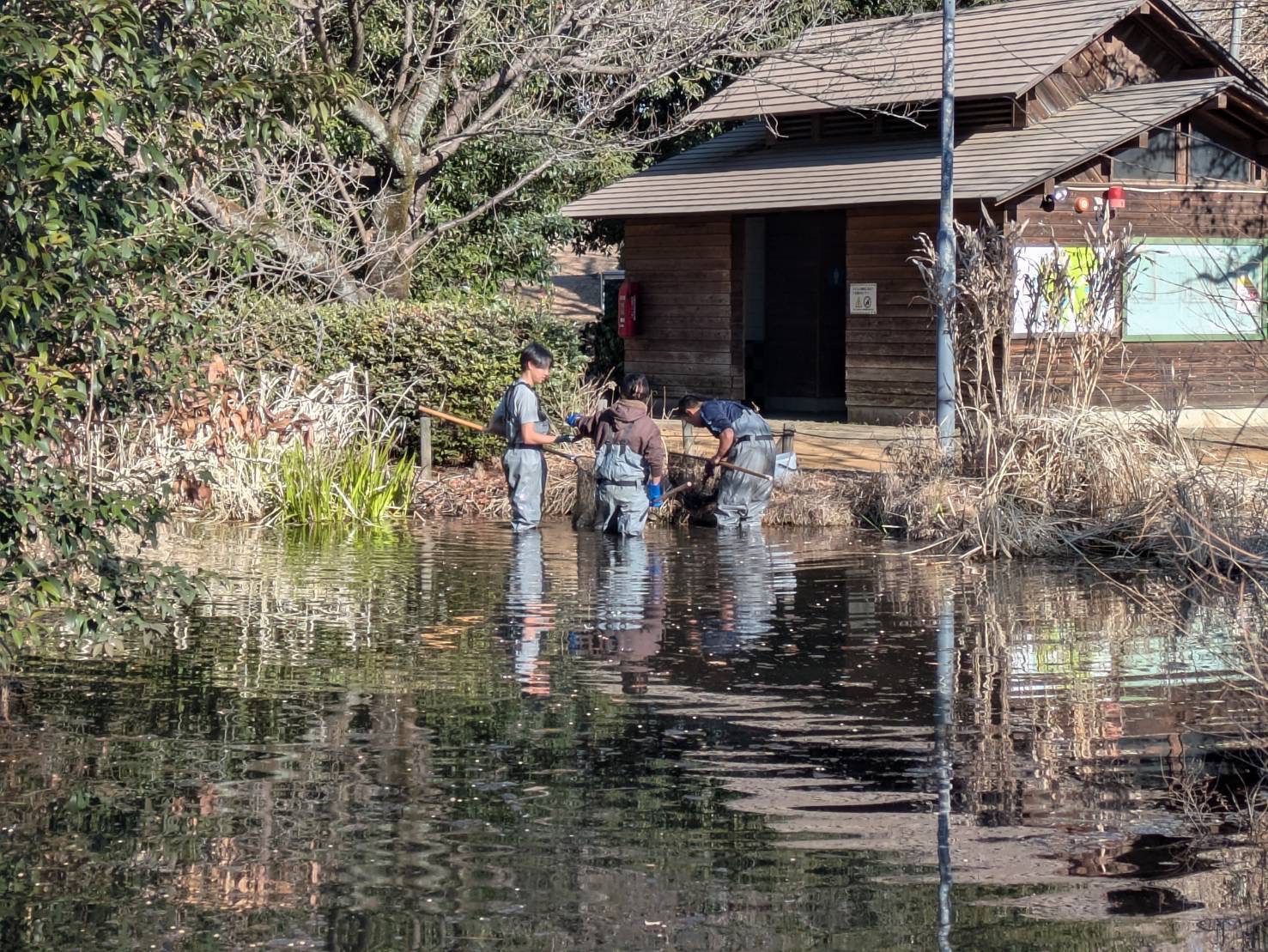 画像 -20260126-140527-9d2f70d6